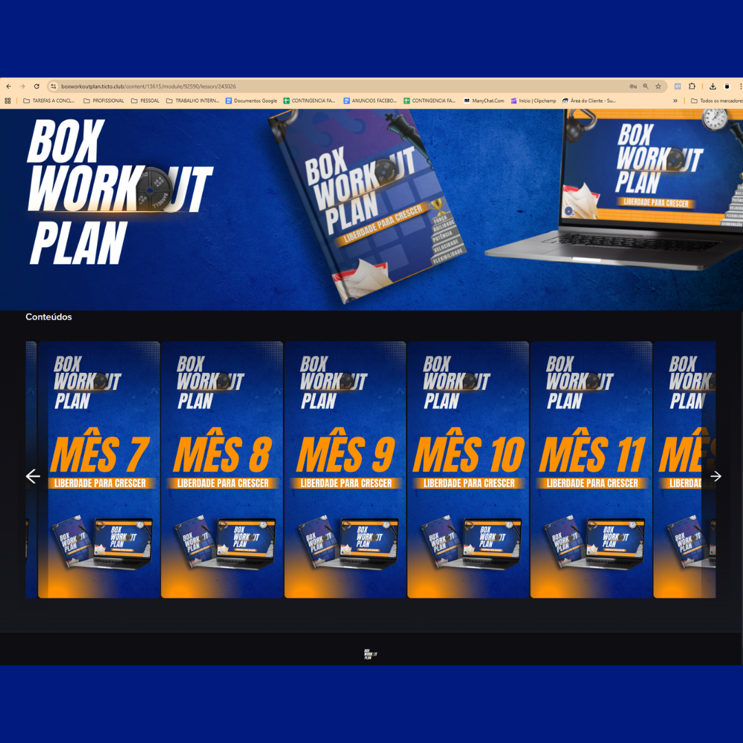 Programação de 12 meses da BWP